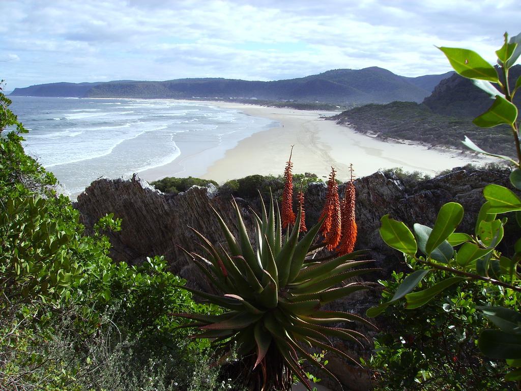 Storms River Guest Lodge Stormsrivier Bagian luar foto